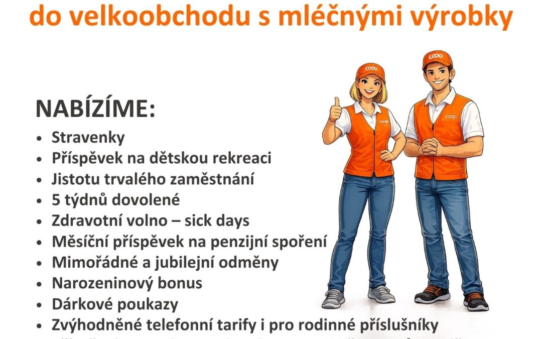 Zástupce/Zástupkyně vedoucí VOM